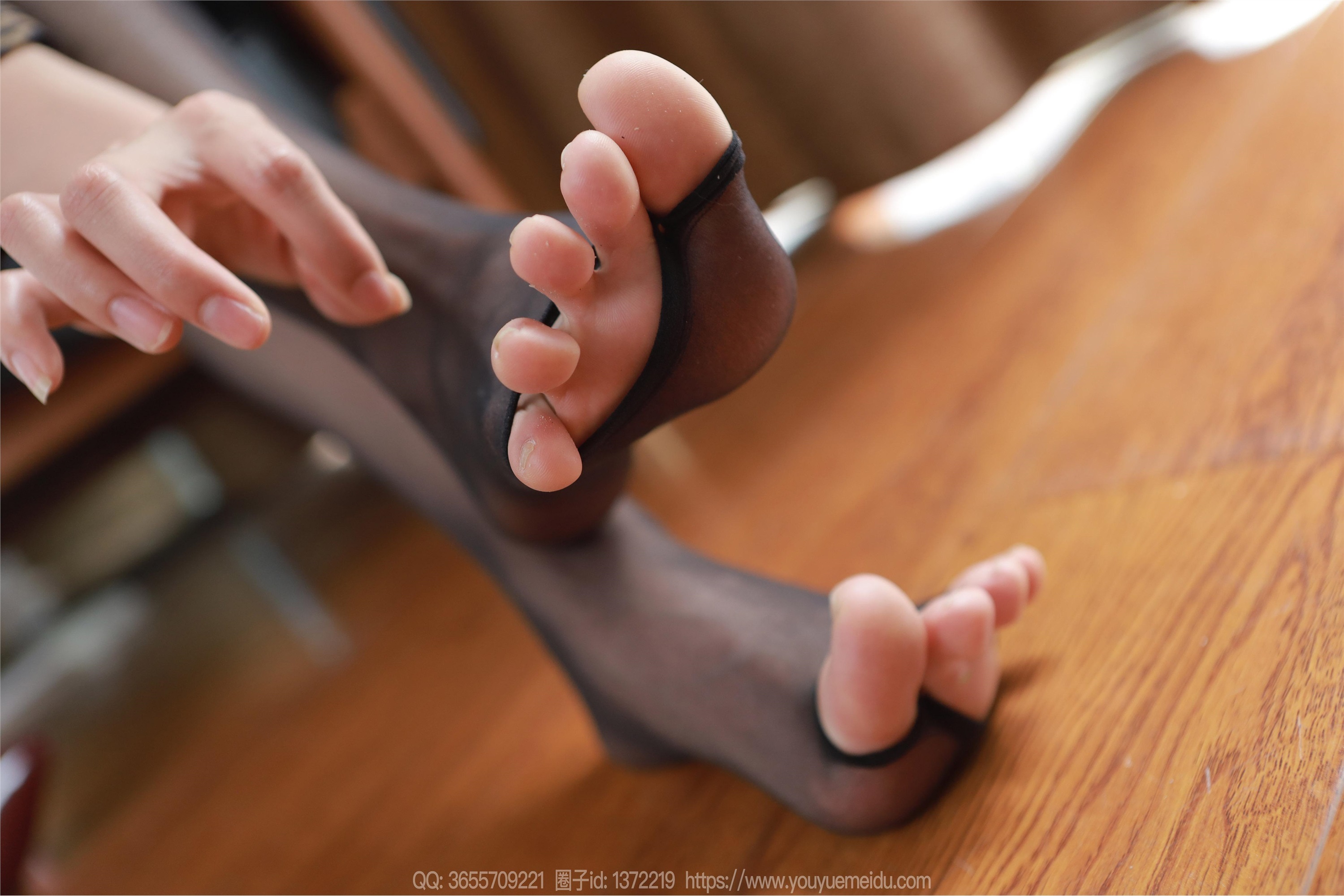 IESS异思趣向  2024.03.29 丝享家 1702 小九《崭露头角》